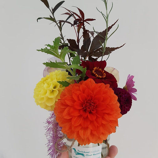 Thumbnail: Email for 3 Month Flower Jar Subscription (starts between April and July 2023)