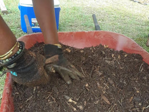 Building Soil Wealth: The Power of Cover Crops & Soil Armor