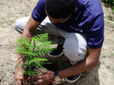 International Day of Forests