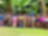 Tanzania Projects.jpeg