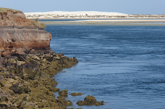 Te Pua Reserve Image 1