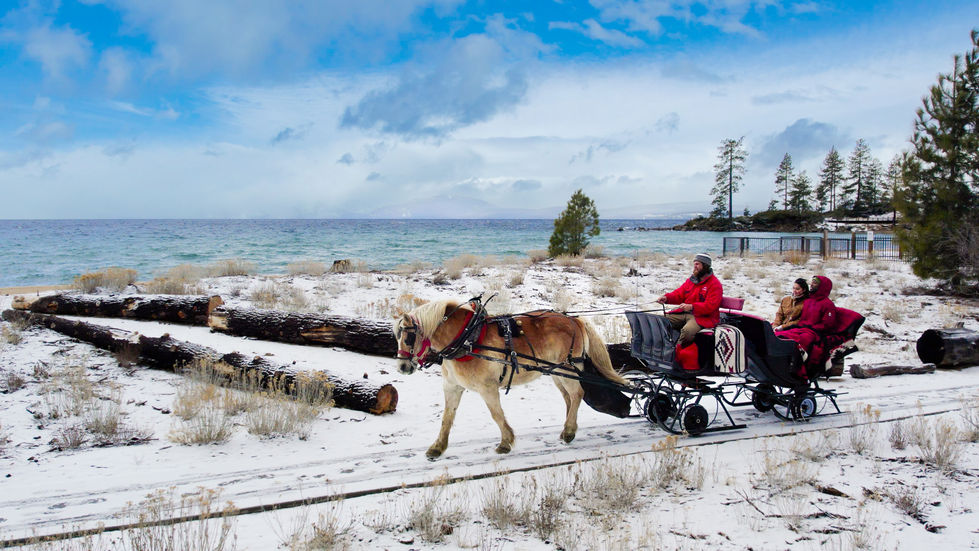 Tahoe Sleigh Rides