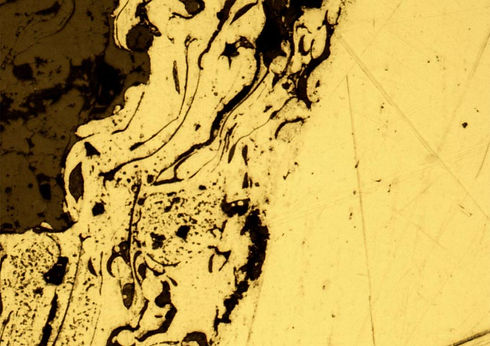 macro-8.jpg