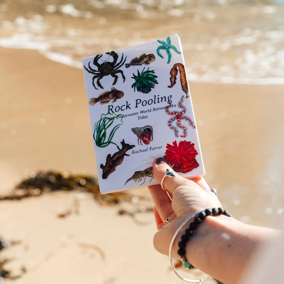 Rock Pooling Pocket Guide by Rachael Farrar
