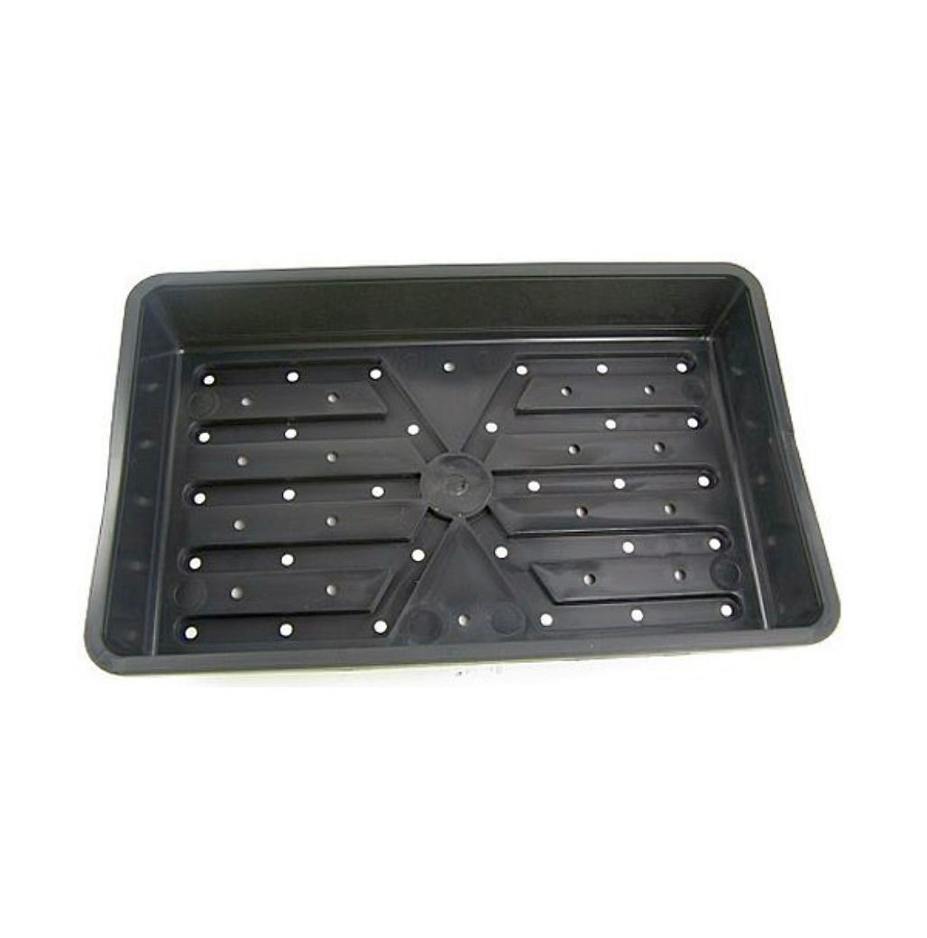 Rigid Seed Tray