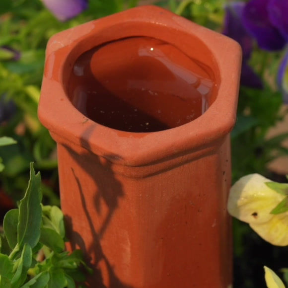 Thumbnail: Terracotta Irrigation Spike