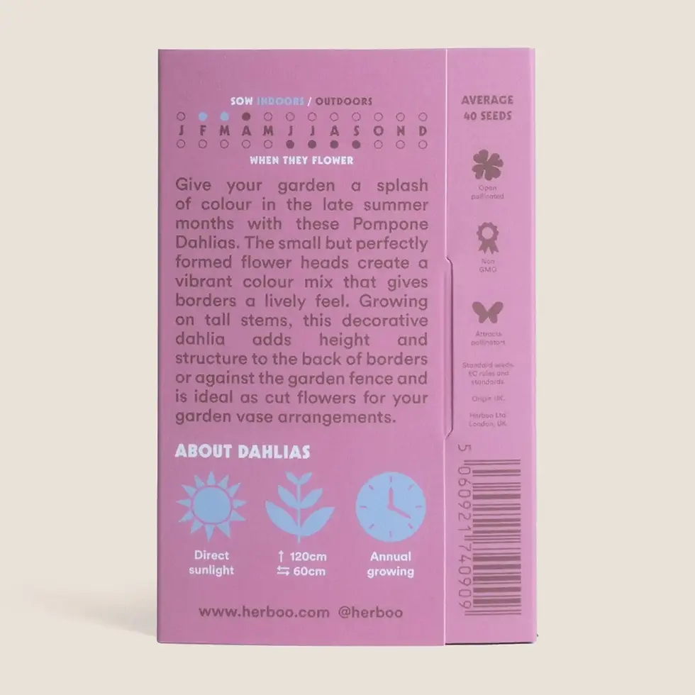 Thumbnail: Dahlia 'Pompone Mixed' Seeds by Herboo