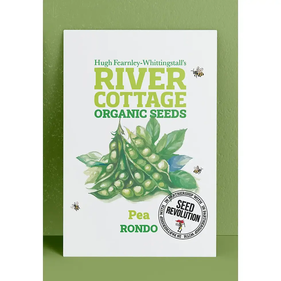 Thumbnail: Pea 'Rondo' Organic Seeds by River Cottage