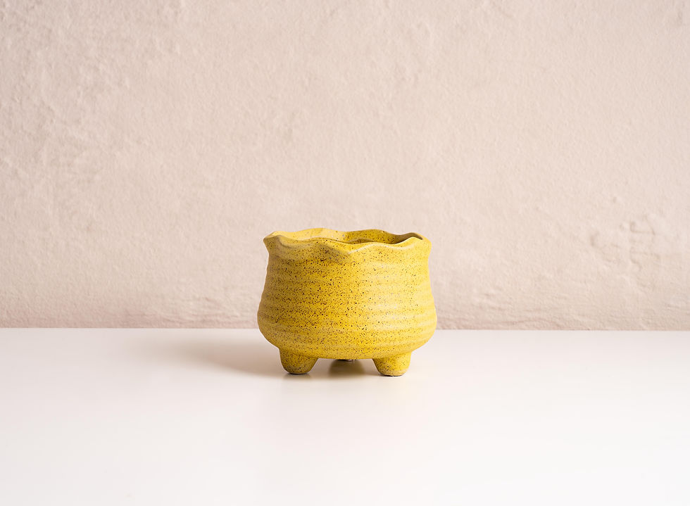 Thumbnail: Colourful Wavy Edge Succulent Pots- 6 Colours