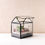 Thumbnail: Mini Greenhouse Terrarium Kit with LED Light