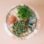 Thumbnail: Seascape Terrarium Kit- 2 Sizes