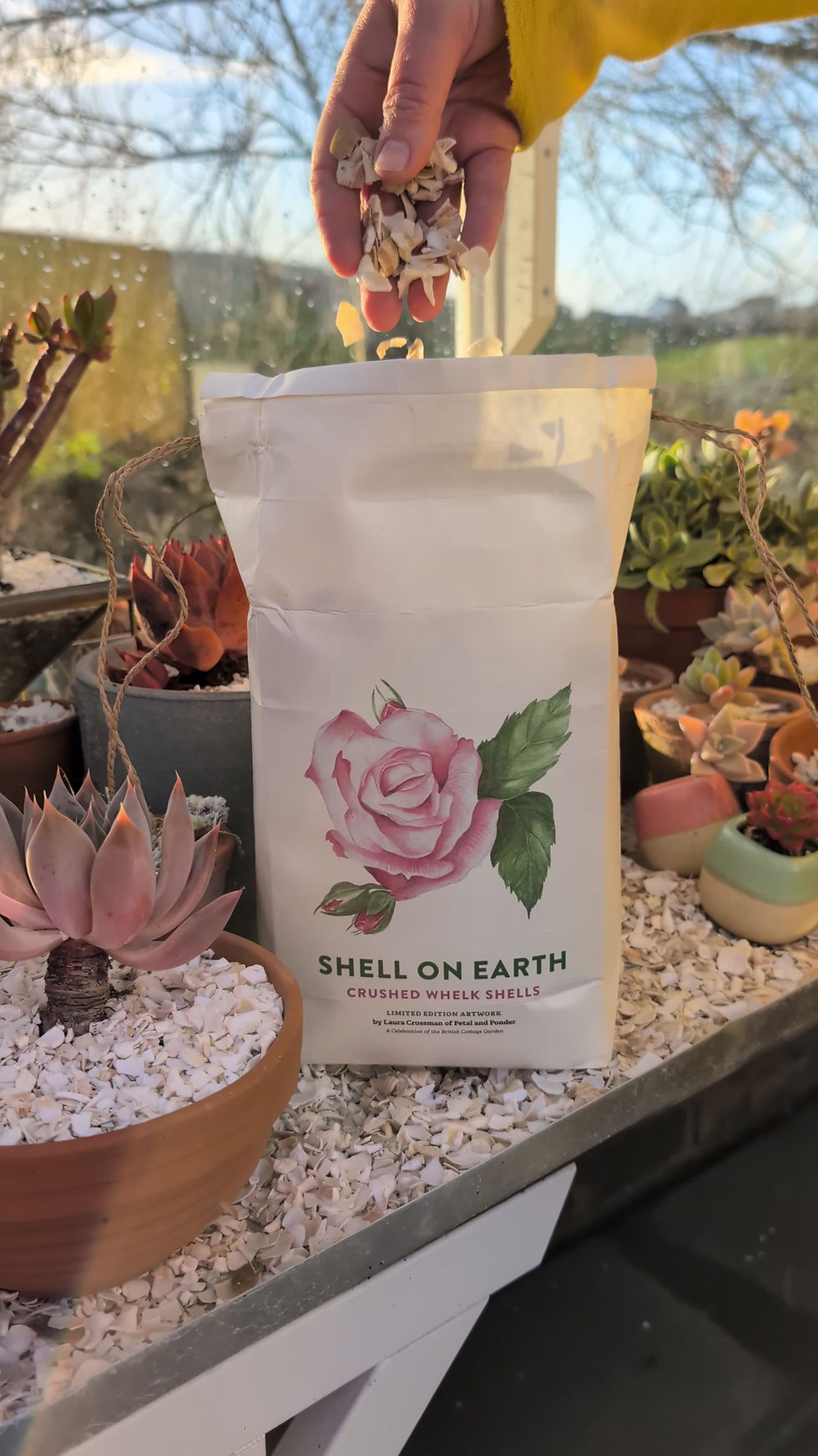 Thumbnail: Rose Garden Limited Edition Bag Crushed Whelk Shells (approx 3Kg)