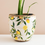 Thumbnail: 'Lemon' Plant Pot