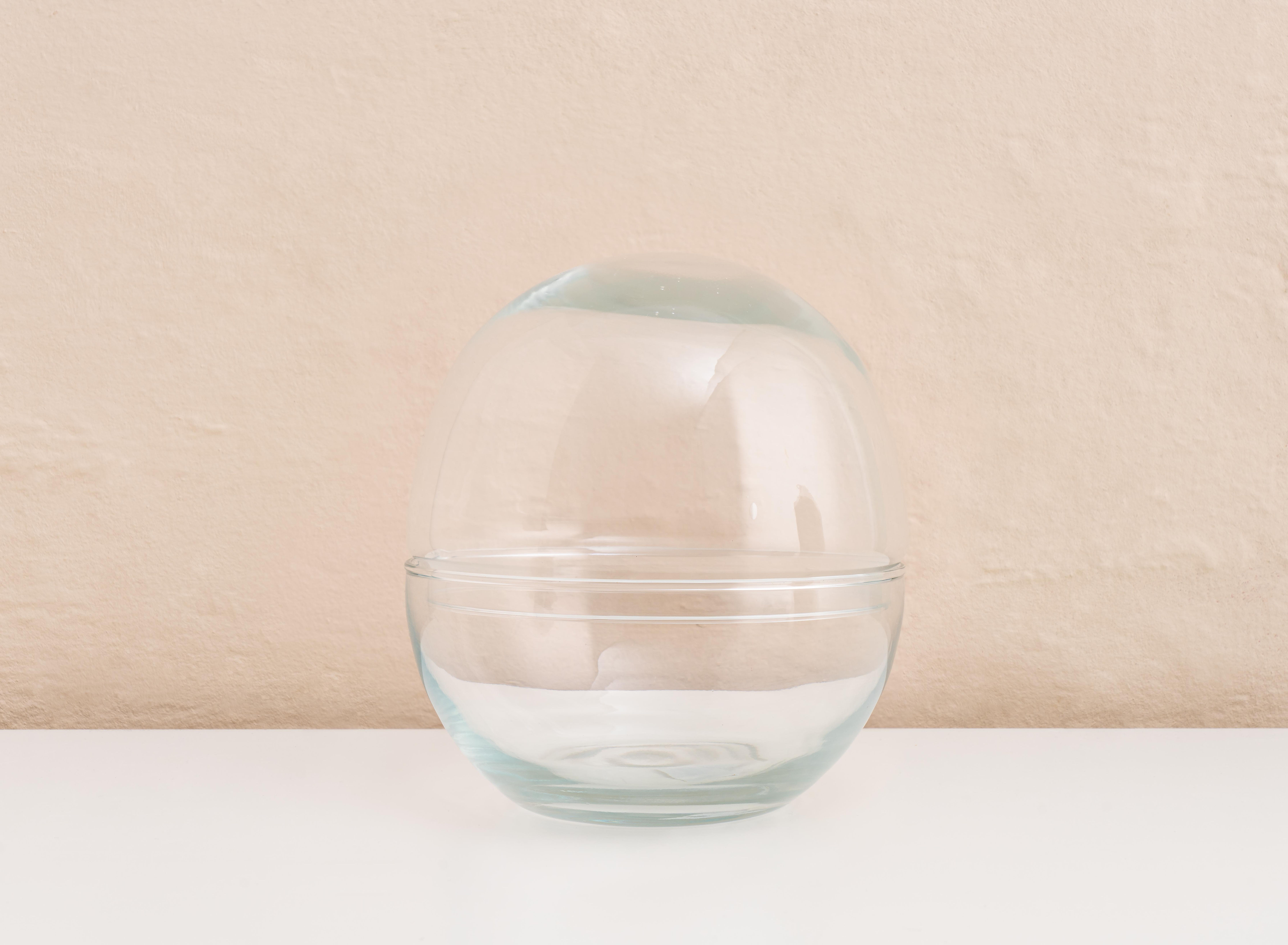 Glass Biodome Terrarium