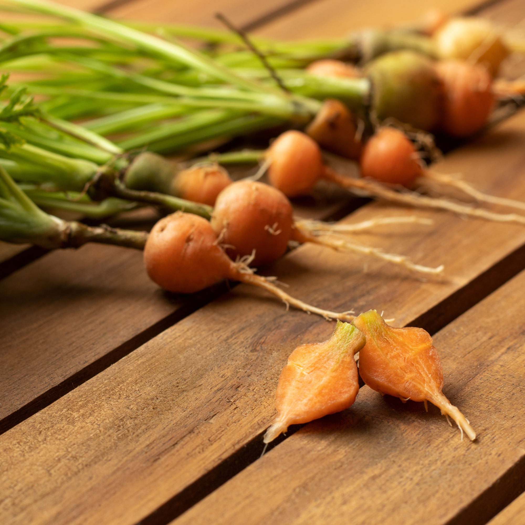 Carrot Paris Market Seeds by Piccolo Seeds