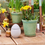 Thumbnail: 'Birthe' Green Plant Pot - 2 Sizes