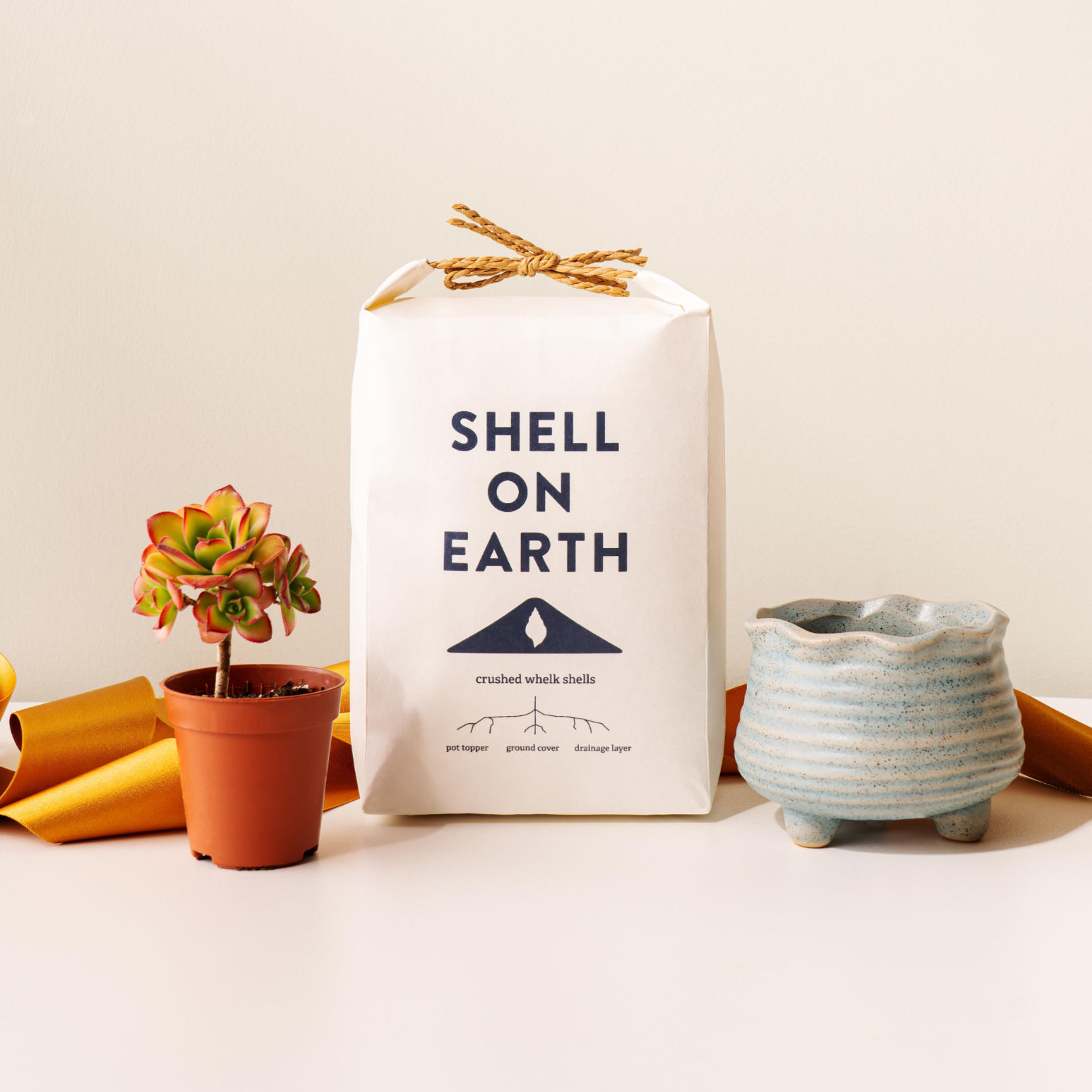 The Mini Plant Lover's Gift Pack