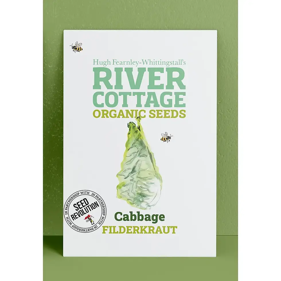 Thumbnail: Cabbage 'Filderkraut' Organic Seeds by River Cottage