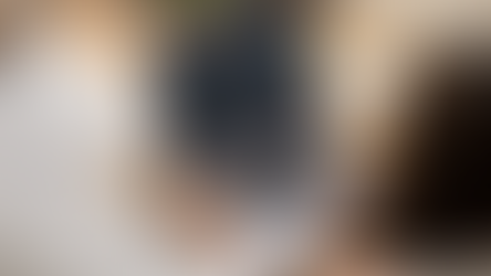 Chameleon - Zero to Model in half a day.