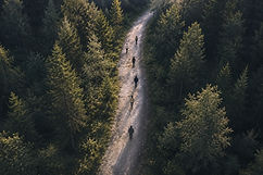 Grupo de personas caminando en un sendero rodeado de naturaleza