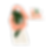 WEB GD CARDS-21.png