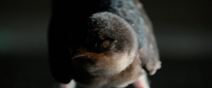 2. New poem vid - Cinematic.00_00_24_30.Still003.jpg