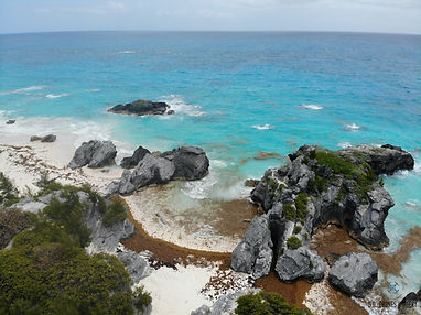 Bermuda.jpeg