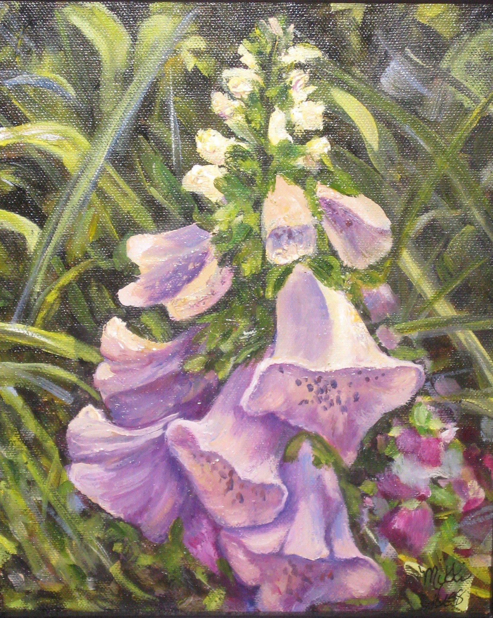 Foxgloves