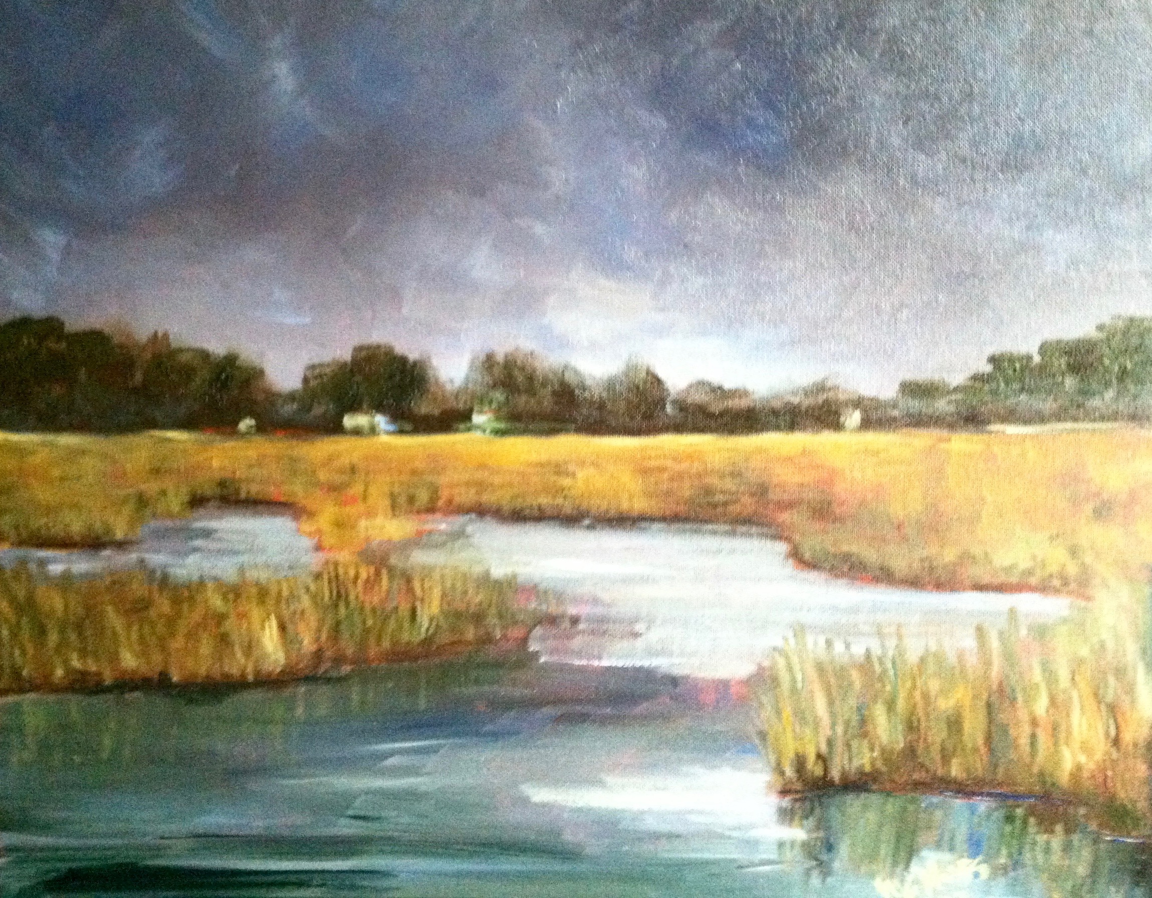 Marsh Before the Storm