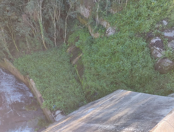 WhatsApp Image 2025-06-29 at 14.43.49.jpeg