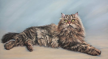 Tabby cat Lord Dudley in Pasel
