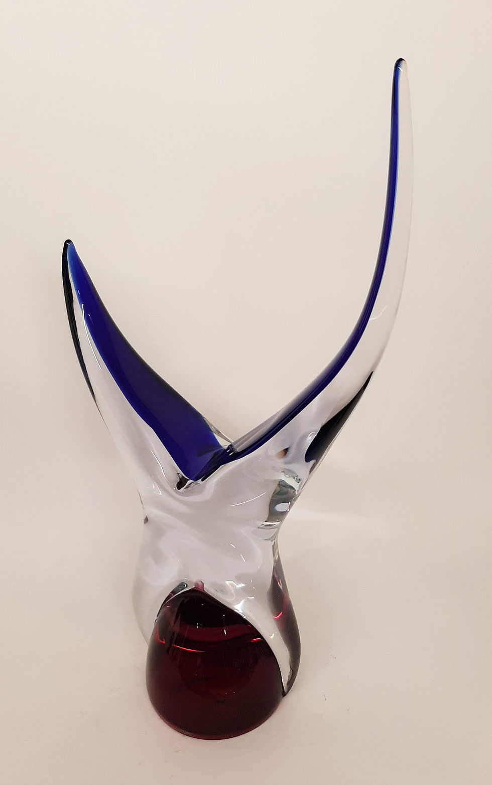 Miniatura: STELLA PINO SIGNORETTO