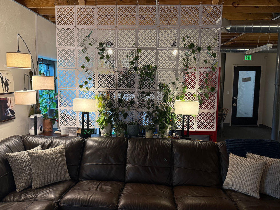 A comfortable sofa in the plant-filled waiting area of Tim Jackson Counseling's office.