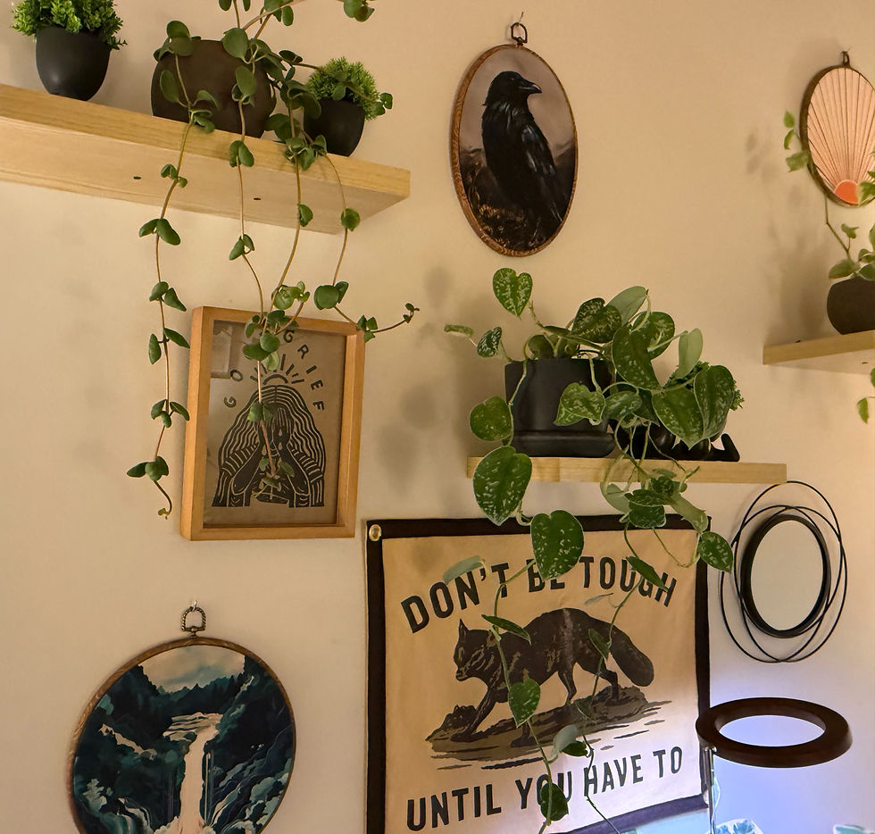 A trailing plant on a shelf in Tim Jackson's counseling office in East Nashville — a warm, grounded space for individual and relationship therapy.
