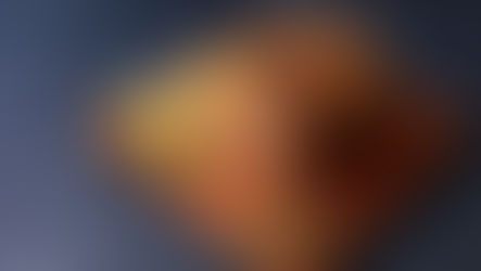 How to Cook a Pork Rib Roast in Convection