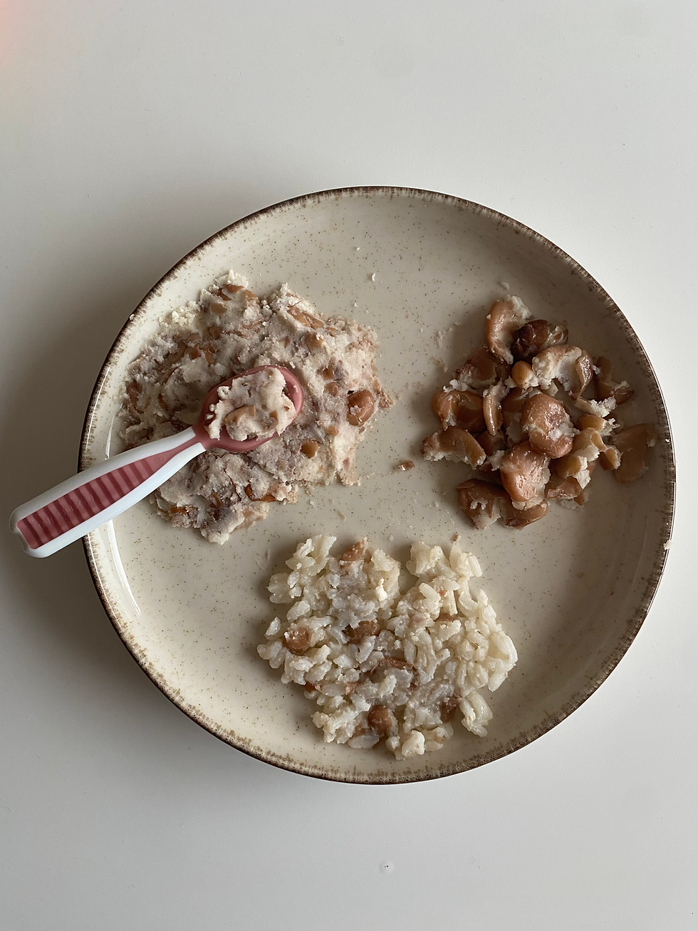 Como oferecer feijão ao bebé?