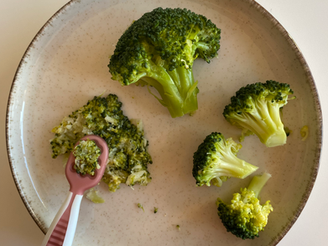 Como oferecer brócolos ao bebé?