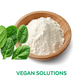 Vegan Solutions