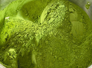 Dried Wolffia from Thailand | Green Caviar Food Ingredient