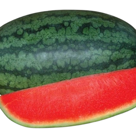 Bulk Order Torpedo Watermelon, Fresh Whole Watermelon