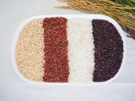 หลักการเกษตรอินทรีย์ l Organic agriculture