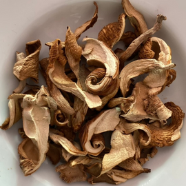 Dried Abalone Mushroom from Farm