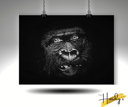 Gorilla - Hardy's Art.png