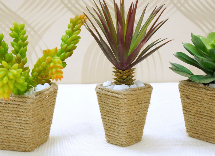 Hospitality & Wellness Décor