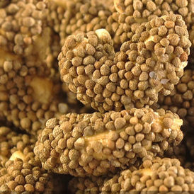 Cashew Nut Perilla Flavor