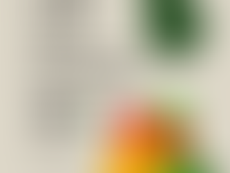 Lego Fun Day - Jan 3