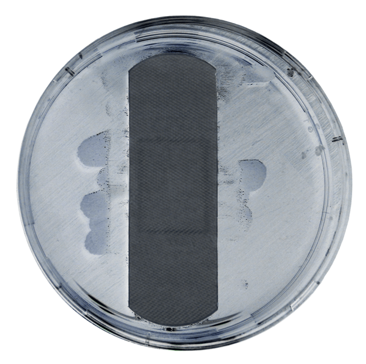 silver bandages petri dish