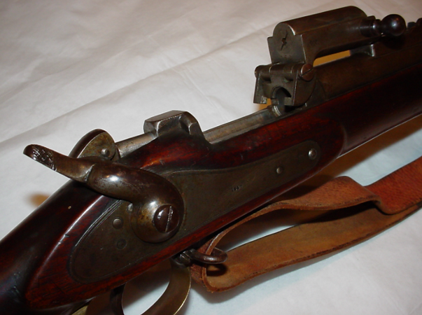 M1876SouthAustralianBraendlin-Albini-10.png
