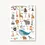 Miniaturbild: Postkarte ABC Tieralphabet Grußkarte Alphabet lernen für Kinder