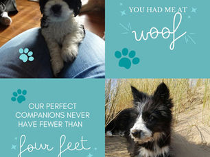 Puppy Week!